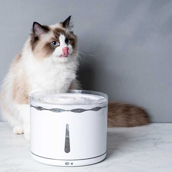 PetHaven.com-layer Filter Fountain Drinking Fountain Electric Pet Drinking FountainCat Automatic Circulation Five-layer Filter Fountain Drinking FountainProduct information
 


 Product name: Smart petal water dispenser
 
 Capacity: 2.2L
 
 Material: ABS, PC
 
 Size: 190*190*150cm
 
 Applicable objects: cats, dogs
 
0