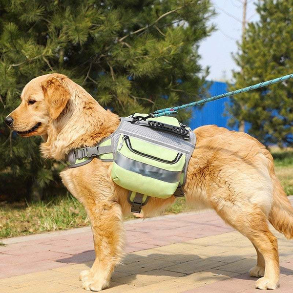 PetHaven.comOutdoor Large Dog BackpackOutdoor Large Dog Backpack For PetsOutdoor Large Dog Backpack for AdventuresTake your furry friend on exciting journeys with the Outdoor Large Dog Backpack! Designed for durability and comfort, this baccessories