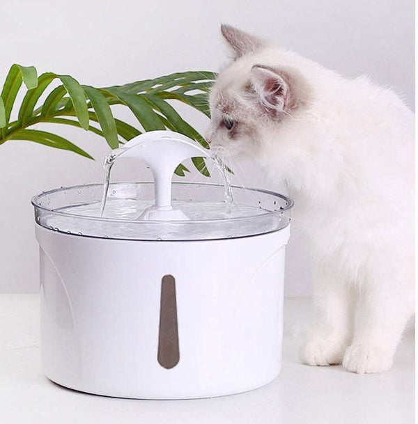PetHaven.comPet Water DispenserPet Water Dispenser Intelligent Automatic Circulating Filter Water DisProduct Information:
Stay Hydrated with Our Pet Water Dispenser
Keep your furry friends happy and hydrated with our innovative Pet Water Dispenser. Designed for convbowls