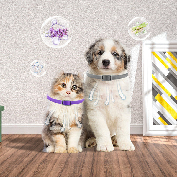 PetHaven.comDog Harness Anxiety Relief Buckle PacifyDog Harness Anxiety Relief Buckle PacifyProduct information:
 
 Color: Comfort purple dog can buckle, comfort purple cat can buckle, comfort gray dog can buckle, comfort gray cat can buckle, comfort green pet care