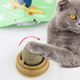 PetHaven.comCatnip Balls Cat Treats Rotary Molar Teeth CleaningCatnip Balls Cat Treats Rotary Molar Teeth CleaningProduct Details:
  
 


 Weight: 30g
 
 Flavor: Mint
 
 Applicable object: cat
 
 Pattern: plain
 
 Main ingredients: catnip / gall fruit powder / polygonum multiflopet care