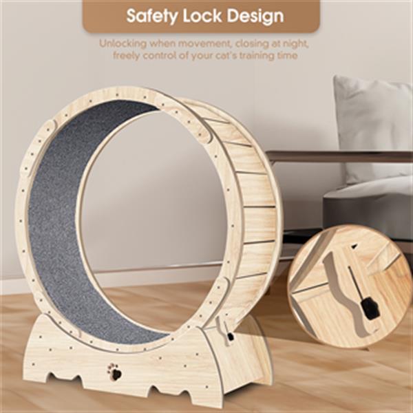 PetHaven.comIndoor Cat Sports WheelIndoor Cat Sports Wheel【Latest Cat Running Wheel】Most pet cats are overweight because they spend long hours indoors and lack exercise. Cat Exercise Wheel for Indoor Cat. And running is theaccessories