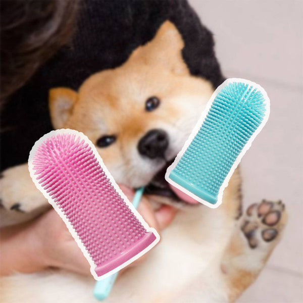 PetHaven.comSoft Silicone Pet Finger ToothbrushSoft Silicone Pet Finger Toothbrush with CaseProduct information:
 
 Product Category Finger Toothbrush
 
 Function To remove stains, gum care
 
 Color blue, white, pink
 
 Material Silicone
 
 Applicable objecpet care