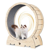PetHaven.comIndoor Cat Sports WheelIndoor Cat Sports Wheel【Latest Cat Running Wheel】Most pet cats are overweight because they spend long hours indoors and lack exercise. Cat Exercise Wheel for Indoor Cat. And running is theaccessories