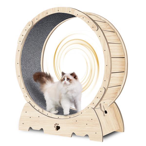 PetHaven.comIndoor Cat Sports WheelIndoor Cat Sports Wheel【Latest Cat Running Wheel】Most pet cats are overweight because they spend long hours indoors and lack exercise. Cat Exercise Wheel for Indoor Cat. And running is theaccessories