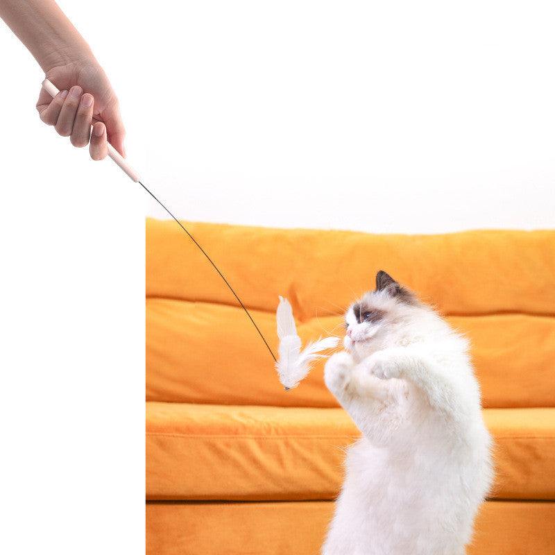 PetHaven.comHousehold Fixed Pet Products Interactive ToysHousehold Fixed Pet Products Interactive ToysProduct information:
 
 Material: ABS
 
 Product category: Doumao Stick
 
 Color: lemon yellow, phosphor, orange blue
 
 
 
 
 


 Size information:
 
 
 
 
 
 Packi0