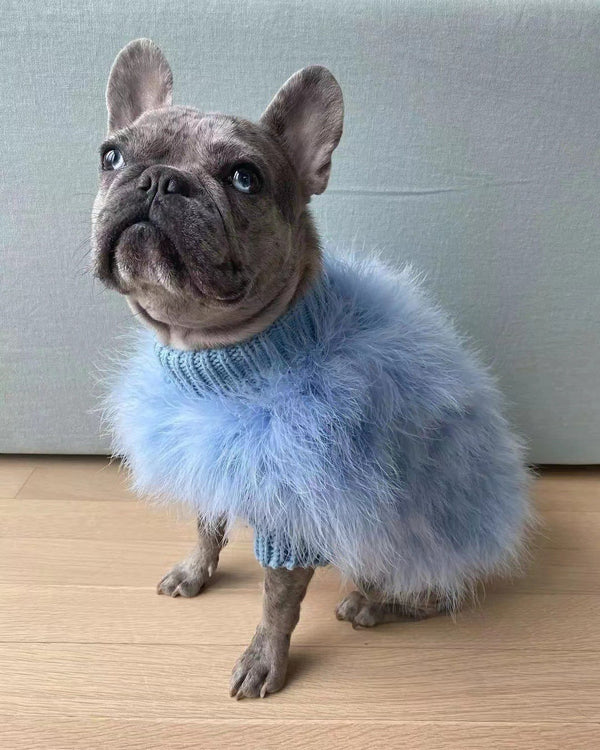 PetHaven.comWinter Sweater Jarre Aero Bull VIP DogsAutumn And Winter Sweater Jarre Aero Bull VIP Dogs And Cats Pet ClotheProduct information:
 
 Color: pink, blue
 
 Size: S, M, L, XL
 
 Material: Wool
 
 Category: pet clothing

Size:


 
Packing list: 

Pet clothing x 1pc 
Product Ima0