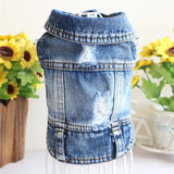 PetHaven.comDesigner Dog ClothesDesigner Dog Clothes Small Dog Denim Jacket Coat Cat Costume Puppy JeaOverview:
Give your furry friend the ultimate style upgrade with our collection of Designer Dog Clothes. Tailored for comfort and elegance, these outfits make your pclothes