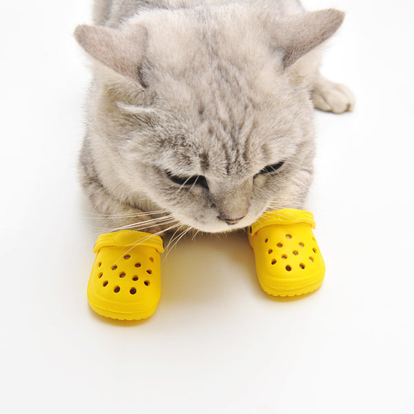 PetHaven.comFashion Personality Summer Dog ShoesFashion Personality Summer Dog ShoesProduct information:
 
 Color: blue, green, yellow, pink
 
 Size: suitable for adult cats and puppies
 
 Function: Decoration
 
 Material: EVA
 
 Applicable object: shoes