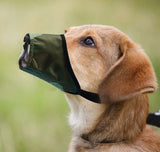 PetHaven.comBreathable Pet Mouth CoverBreathable Pet Mouth CoverEnsure your pet’s comfort and safety with our Breathable Pet Mouth Cover, designed to prevent biting or chewing while allowing unrestricted airflow. Made from durablaccessories