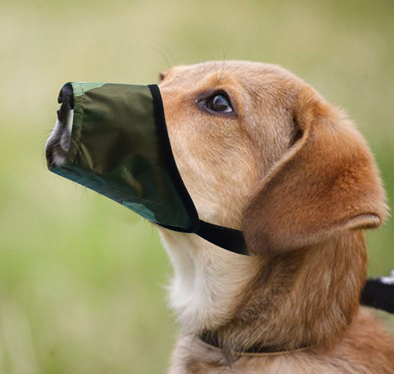 PetHaven.comBreathable Pet Mouth CoverBreathable Pet Mouth CoverEnsure your pet’s comfort and safety with our Breathable Pet Mouth Cover, designed to prevent biting or chewing while allowing unrestricted airflow. Made from durablaccessories