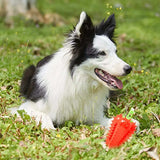 PetHaven.comInteractive Dog Teething Chili Chewers Toy Interactive Toys Dog ToysInteractive Dog Teething Chili Chewers Toy Interactive Toys Dog ToysDescription

 Report Item


 Features:
 
 It's easy to get your dog's attention and encourage his chewing instincts. attract dog's attention to play with.
 
 This Tr4