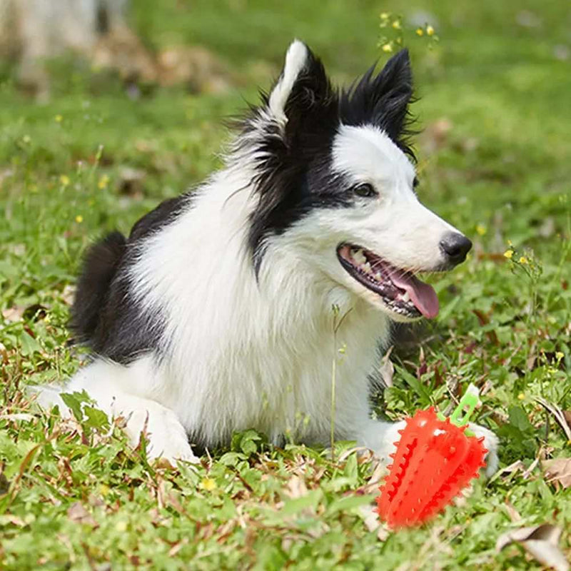 PetHaven.comInteractive Dog Teething Chili Chewers Toy Interactive Toys Dog ToysInteractive Dog Teething Chili Chewers Toy Interactive Toys Dog ToysDescription

 Report Item


 Features:
 
 It's easy to get your dog's attention and encourage his chewing instincts. attract dog's attention to play with.
 
 This Tr4