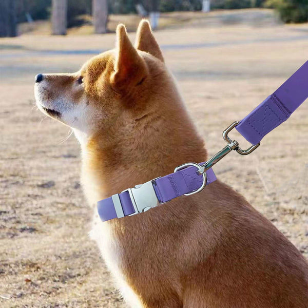PetHaven.comWaterproof Adjustable Silicone Pet Traction RopeWaterproof Adjustable Silicone Pet Traction RopeEnsure your pet’s safety and comfort during outdoor adventures with the Waterproof Adjustable Silicone Pet Traction Rope. Crafted from high-quality silicone, this tr7