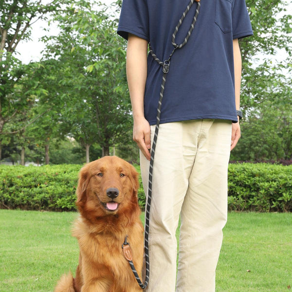 PetHaven.comPet Multifunctional Adjustable Reflective Hand Holding RopePet Multifunctional Adjustable Reflective Hand Holding RopeProduct information: 
Pet Multifunctional Adjustable Reflective Hand Holding Rope is the perfect accessory for every pet owner who loves to go on outdoor adventures pet walker