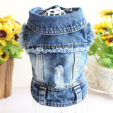 PetHaven.comDesigner Dog ClothesDesigner Dog Clothes Small Dog Denim Jacket Coat Cat Costume Puppy JeaOverview:
Give your furry friend the ultimate style upgrade with our collection of Designer Dog Clothes. Tailored for comfort and elegance, these outfits make your pclothes