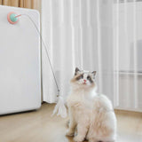 PetHaven.comHousehold Fixed Pet Products Interactive ToysHousehold Fixed Pet Products Interactive ToysProduct information:
 
 Material: ABS
 
 Product category: Doumao Stick
 
 Color: lemon yellow, phosphor, orange blue
 
 
 
 
 


 Size information:
 
 
 
 
 
 Packi0