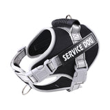 PetHaven.comchest strap scalable for petchest strap scalable for petThe chest strap scalable for pet is designed for ultimate comfort and adjustability. Perfect for all pet sizes, this chest strap scalable for pet ensures a secure anaccessories