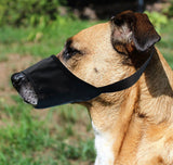 PetHaven.comBreathable Pet Mouth CoverBreathable Pet Mouth CoverEnsure your pet’s comfort and safety with our Breathable Pet Mouth Cover, designed to prevent biting or chewing while allowing unrestricted airflow. Made from durablaccessories