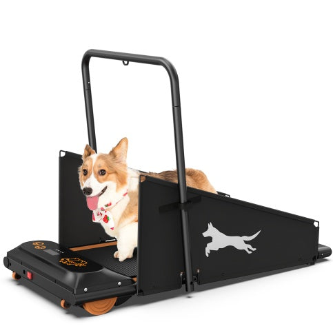 PetHaven.comPet treadmill for dogspet treadmill for dogsKeep Your Dog Fit with the Pet Treadmill for Dogs
The pet treadmill for dogs is the ultimate solution for maintaining your furry friend’s health and fitness. Designepet walker