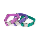 PetHaven.comWaterproof Adjustable Silicone Pet Traction RopeWaterproof Adjustable Silicone Pet Traction RopeEnsure your pet’s safety and comfort during outdoor adventures with the Waterproof Adjustable Silicone Pet Traction Rope. Crafted from high-quality silicone, this tr7