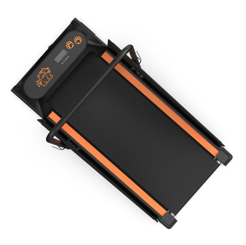 PetHaven.comPet treadmill for dogspet treadmill for dogsKeep Your Dog Fit with the Pet Treadmill for Dogs
The pet treadmill for dogs is the ultimate solution for maintaining your furry friend’s health and fitness. Designepet walker