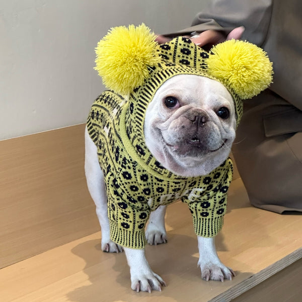 PetHaven.comDog Cat Pet Winter SweaterDog Cat Pet Winter SweaterProduct information:
 
 Color: clothes, hat head circumference (S20CM)(M27CM)
 
 Size: S (hat 2.50kg-5.00kg is elastic),M (hat 5.50kg-15.00kg is elastic),L,XL,XXL
 
0