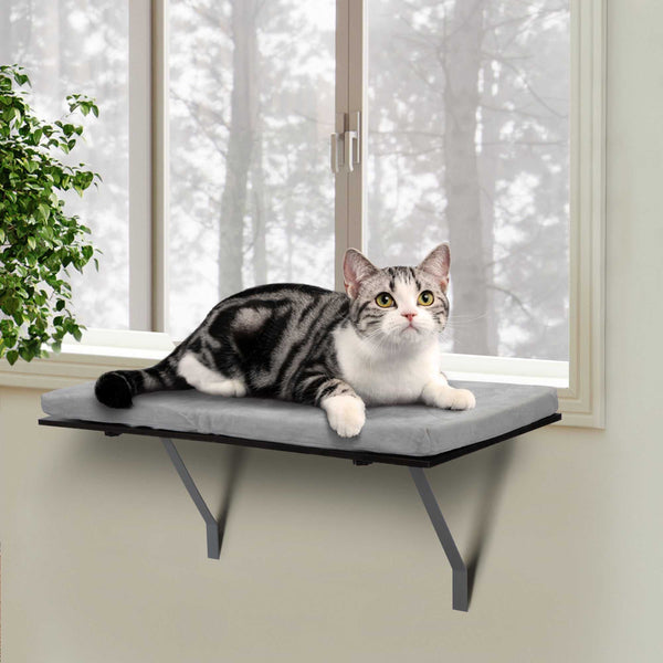PetHaven.comWindow Style Shelving BedCat Resting On Window Style Shelving Bed With Velvet Cushion For Rest,standard
 
 Product Information
 
 Product Code:
 
 W2181P144467
 
 Product type:
 
 General project
 
 Product Name:
 
 Cat resting on window style shelving bed wit5