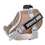 PetHaven.comchest strap scalable for petchest strap scalable for petThe chest strap scalable for pet is designed for ultimate comfort and adjustability. Perfect for all pet sizes, this chest strap scalable for pet ensures a secure anaccessories