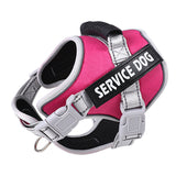 PetHaven.comchest strap scalable for petchest strap scalable for petThe chest strap scalable for pet is designed for ultimate comfort and adjustability. Perfect for all pet sizes, this chest strap scalable for pet ensures a secure anaccessories
