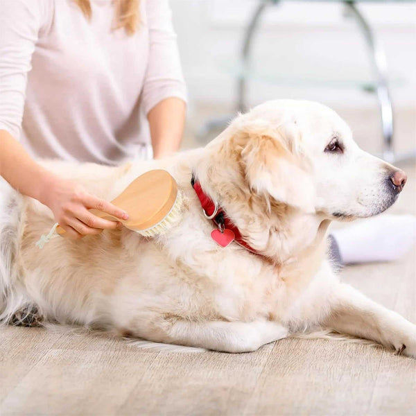 PetHaven.comMassage Points Wooden HandlePet Shampoo Brush With Massage Points Wooden Handle, And Natural BristExperience ultimate relaxation with our Massage Points Wooden Handle tool, designed to provide a therapeutic massage experience. The ergonomic Massage Points Wooden 4